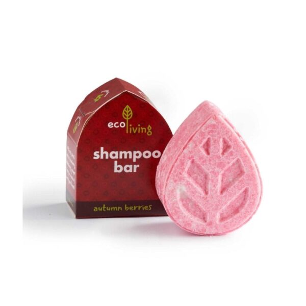 shampoo bar,
