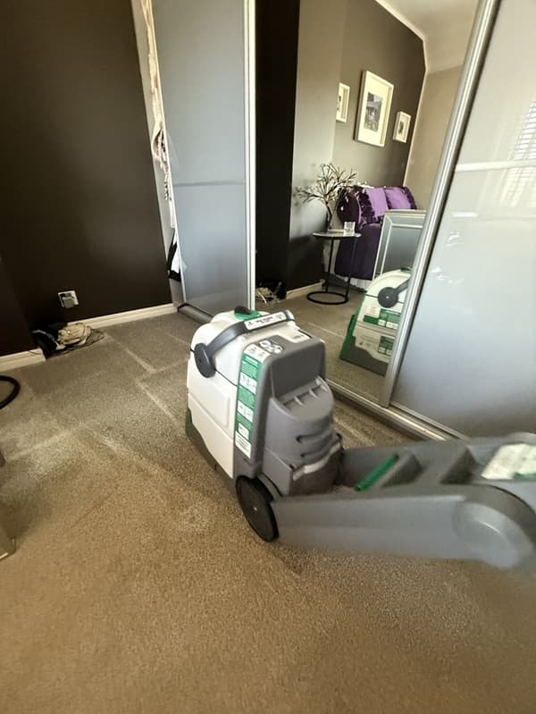 Carpet Cleaning Services in Bristol 4 IMG 6952 min